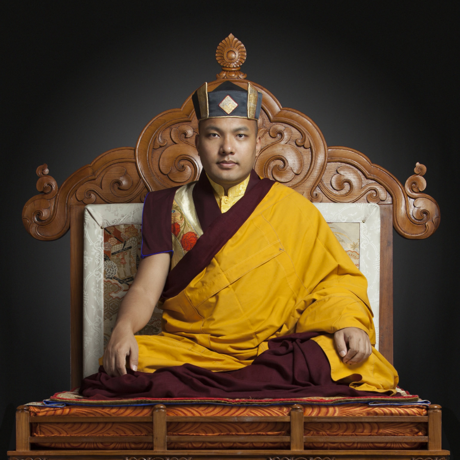 第17世カルマパ・ウルギェン・ティンレー・ドルジェ